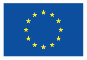 Co-funded by the European Union